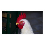 rooster business cards