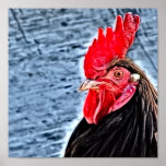 Rooster Digital Art Print