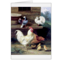 Rooster Hen Chicken Doves Cards