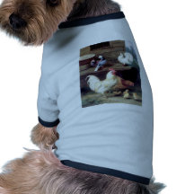 Rooster Hen Chicken Doves Pet Clothes
