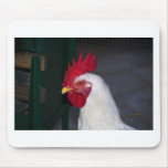 rooster mouse pads