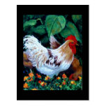ROOSTER PAINTING POSTCARDS
