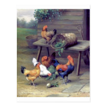 Rooster Turnip Basket Hens Post Cards