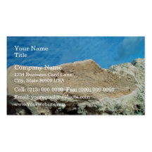 Root fossils in limestone seawall business card