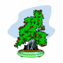 Root Over Rock Flowering Bonsai Photo Cut Outs