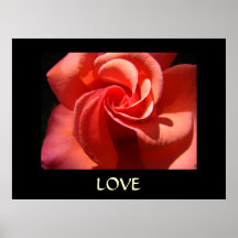 ROSE Art Print Spiral Rose Flower LOVE Valentine