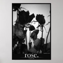rose [border] posters