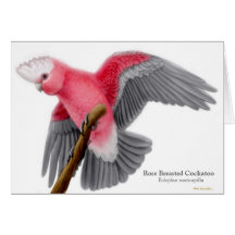 Rose Breasted Cockatoo Greeting Card