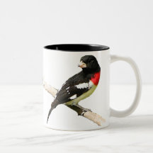 Rose-breasted Grosbeak Mugs