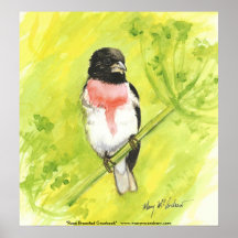 Rose Breasted Grosbeak-song bird Poster /Art Print