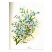 rose brier post cards