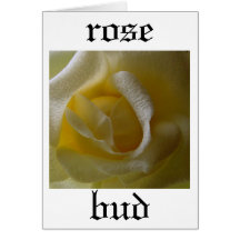 Rose Bud Card