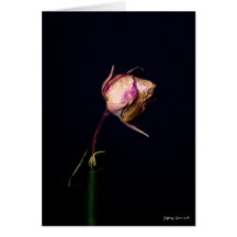 Rose bud cards
