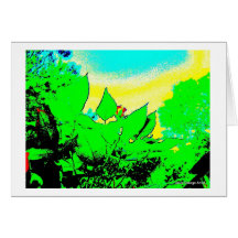 Rose Bud Graphic Card