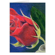 Rose Bud Greeting Card