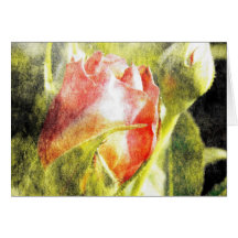 Rose Bud Greeting Cards