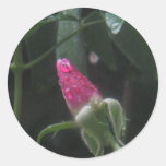 Rose bud & raindrops round stickers