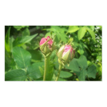 Rose Buds Business Card Template