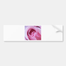 rose bumper stickers