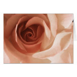 Rose Cards