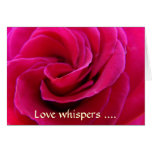 Rose Cards Love whispers to my heart Pink Rose