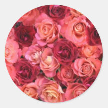 ROSE FIELD ,bright vibrant  red  pink Stickers