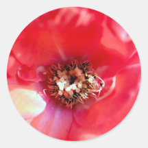 rose  flower sticker