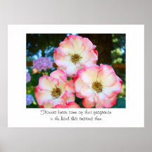 Rose Flowers art prints Rose Fragrance Floral