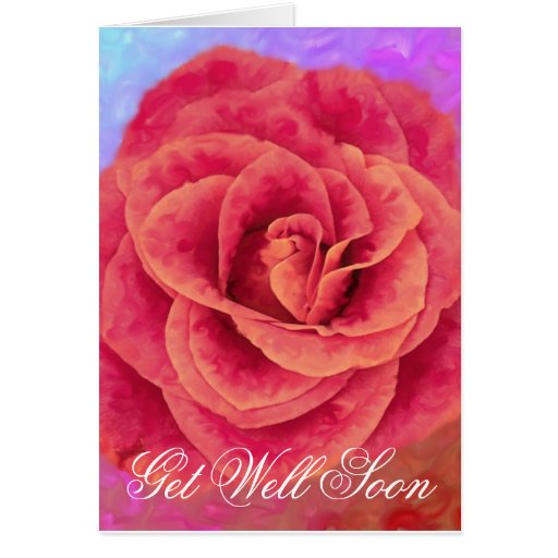 Rose, Get Well Soon Zazzle