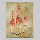 Rose Giraffes Monogram Grunge  Postcard postcards