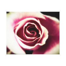 Rose Glamour ~ Canvas Gallery Wrapped Canvas