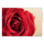 Rose Greeting Card