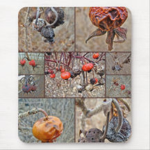 Rose Hip Collage Mouse Mats