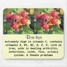 Rose hips mousepad