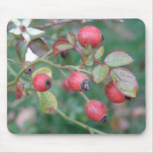 Rose Hips Mousepads