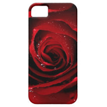 Rose iPhone 5 Cover