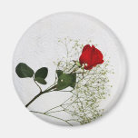 Rose Magnet