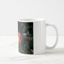 Rose Mugs