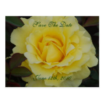 Rose of Joy Save The Date Postcard