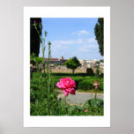 Rose on a Hilltop Poster