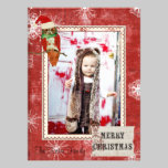 Rose Owl Red Christmas Photo Card invitations