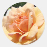 ROSE Peach ROSES STICKERS STICKER SHEETS Gifts
