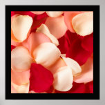 Rose Petal Poster with Black border