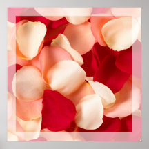 Rose petal poster with translucent border