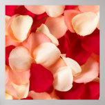 Rose Petals Poster