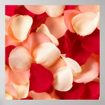 Rose Petals Poster