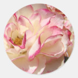 ROSE PINK ROSES STICKERS STICKER SHEETS Gifts