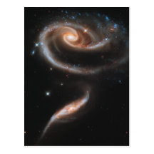 Rose Spiral Galaxies Post Card