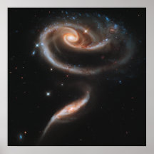 Rose Spiral Galaxies Poster