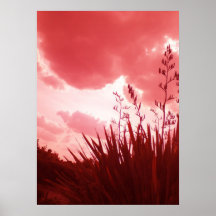 ROSE TINTED GLASSES PRINT